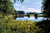 Punkaharju, Savonlinna. La zona nei pressi di Lusto, il museo della foresta finlandese. 